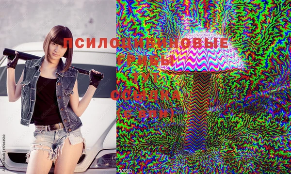 дживик Апатиты